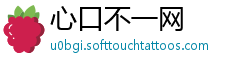 心口不一网